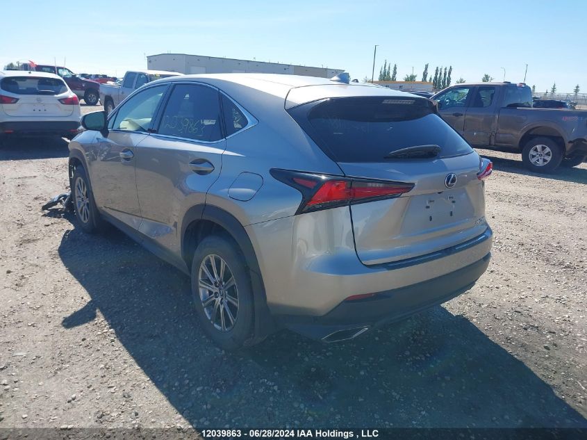 2021 Lexus Nx 300 Base/300 Luxury/300 F-Sport VIN: JTJAARDZ2M2237630 Lot: 12039863