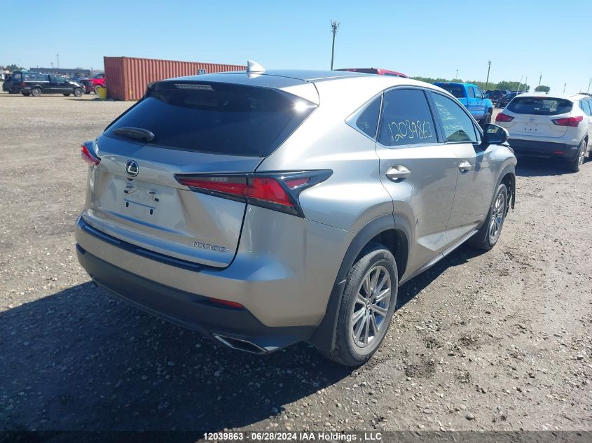 2021 Lexus Nx 300 Base/300 Luxury/300 F-Sport VIN: JTJAARDZ2M2237630 Lot: 12039863