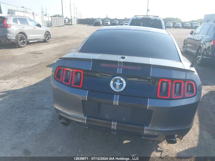 2013 Ford Mustang V6 Premium VIN: 1ZVBP8AM3D5214698 Lot: 12039871