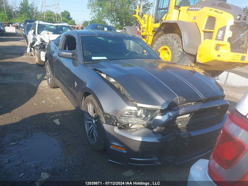 2013 Ford Mustang V6 Premium VIN: 1ZVBP8AM3D5214698 Lot: 12039871