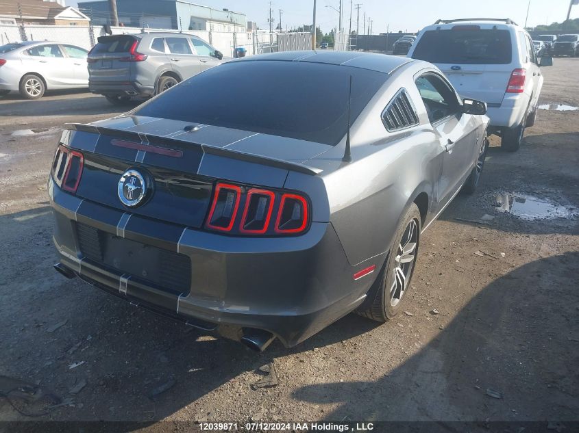 2013 Ford Mustang V6 Premium VIN: 1ZVBP8AM3D5214698 Lot: 12039871