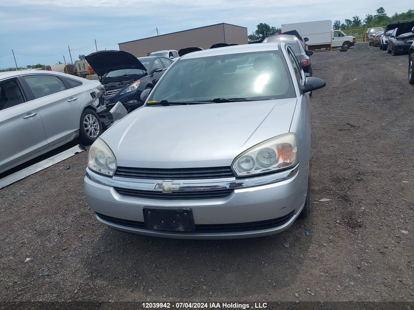 2004 Chevrolet Malibu VIN: 1G1ZT54844F217087 Lot: 12039942
