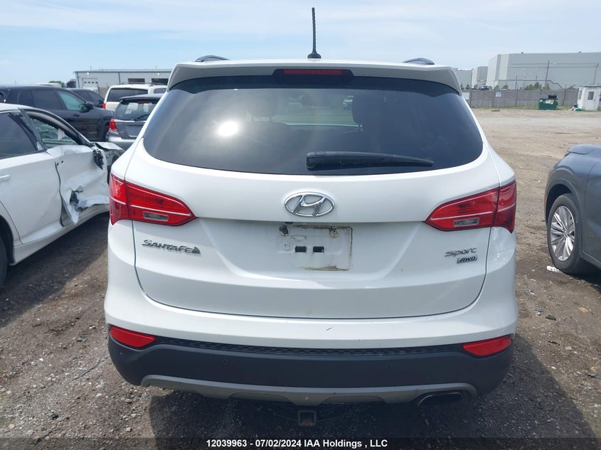 2014 Hyundai Santa Fe VIN: 5XYZUDLB8EG216003 Lot: 12039963