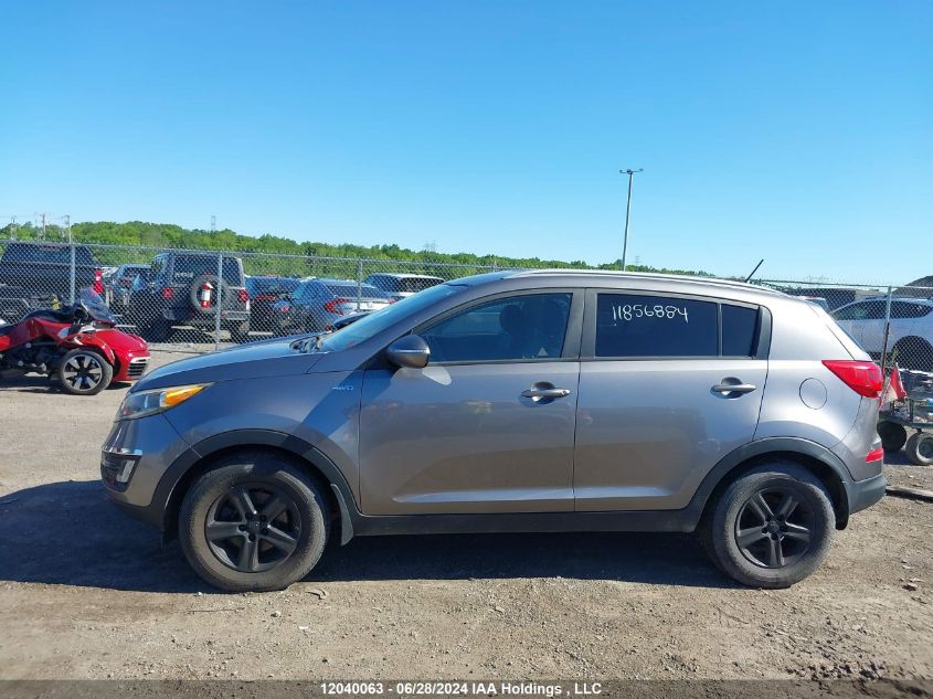 2016 Kia Sportage VIN: KNDPBCACXG7866373 Lot: 12040063