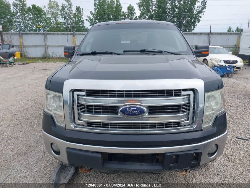 2013 Ford F-150 Xlt VIN: 1FTFW1ET2DFD05360 Lot: 12040391