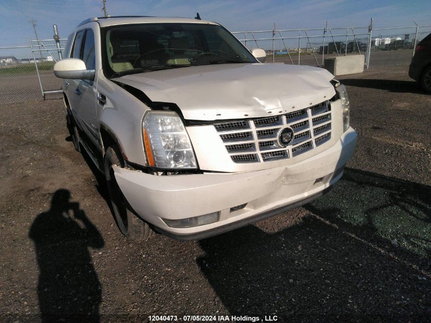 2007 Cadillac Escalade Standard VIN: 1GYFK63877R321123 Lot: 12040473