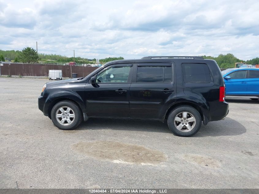 2009 Honda Pilot VIN: 5FNYF48499B503492 Lot: 12040484