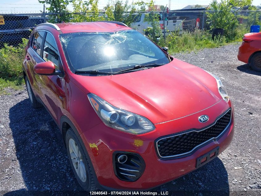 2017 Kia Sportage VIN: KNDPMCAC6H7234885 Lot: 12040543