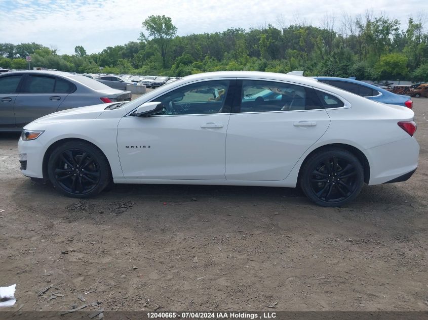 2023 Chevrolet Malibu Lt VIN: 1G1ZD5ST0PF250385 Lot: 12040665