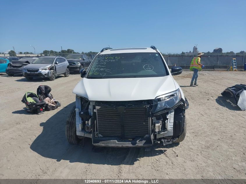 2020 Honda Passport VIN: 5FNYF8H51LB501324 Lot: 12040693