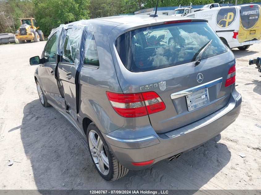 2010 Mercedes-Benz B-Class VIN: WDDFH3EB7AJ583876 Lot: 12040767