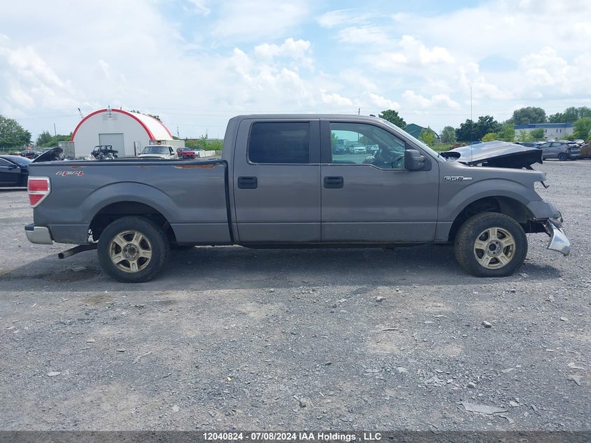 2012 Ford F-150 VIN: 1FTFW1EF2CKD66417 Lot: 12040824