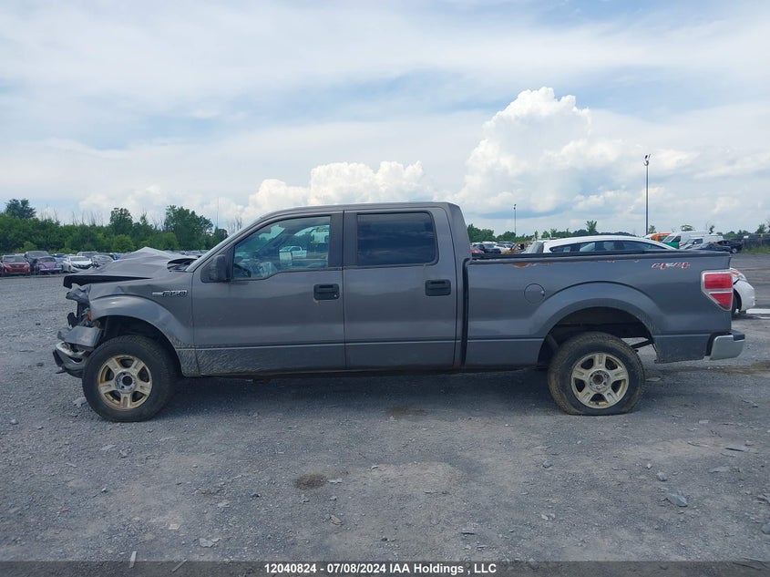 2012 Ford F-150 VIN: 1FTFW1EF2CKD66417 Lot: 12040824
