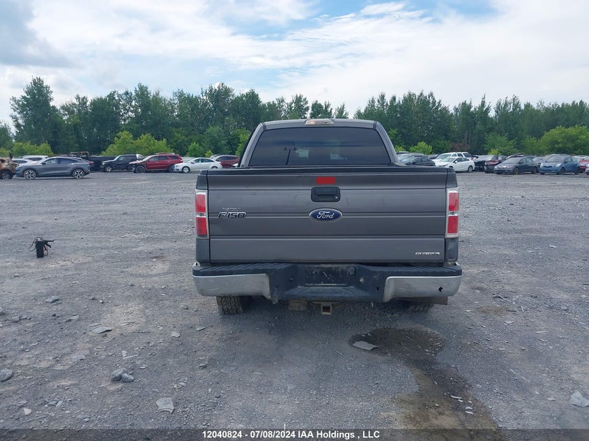 2012 Ford F-150 VIN: 1FTFW1EF2CKD66417 Lot: 12040824