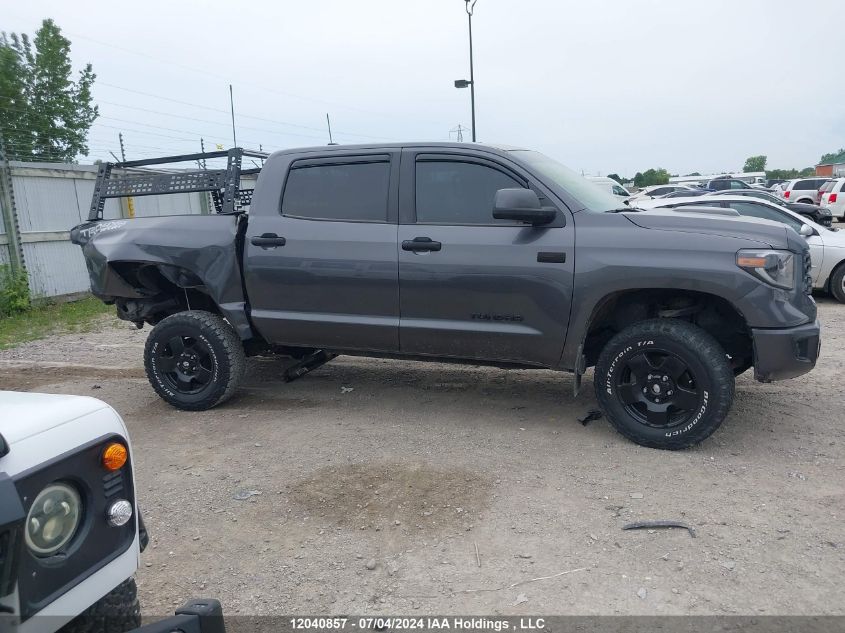 2021 Toyota Tundra Crewmax Sr5/Crewmax Trd Pro VIN: 5TFDY5F12MX042500 Lot: 12040857