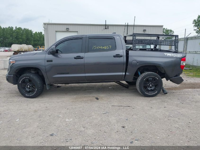 2021 Toyota Tundra Crewmax Sr5/Crewmax Trd Pro VIN: 5TFDY5F12MX042500 Lot: 12040857