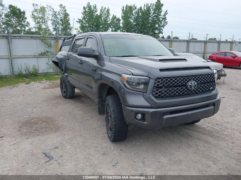 2021 Toyota Tundra Crewmax Sr5/Crewmax Trd Pro VIN: 5TFDY5F12MX042500 Lot: 12040857