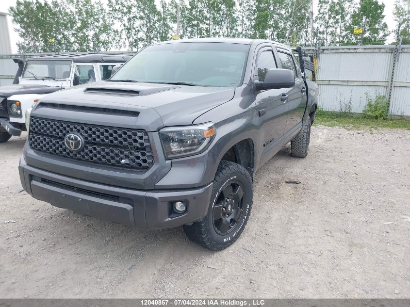 2021 Toyota Tundra Crewmax Sr5/Crewmax Trd Pro VIN: 5TFDY5F12MX042500 Lot: 12040857