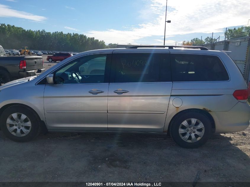 2009 Honda Odyssey VIN: 5FNRL38419B501856 Lot: 12040901