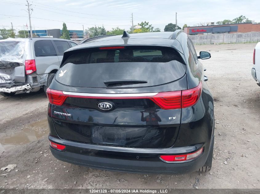 2019 Kia Sportage VIN: KNDPNCAC0K7516766 Lot: 12041328