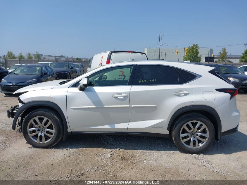 2021 Lexus Nx 300H VIN: JTJGJRDZ3M5010441 Lot: 12041443