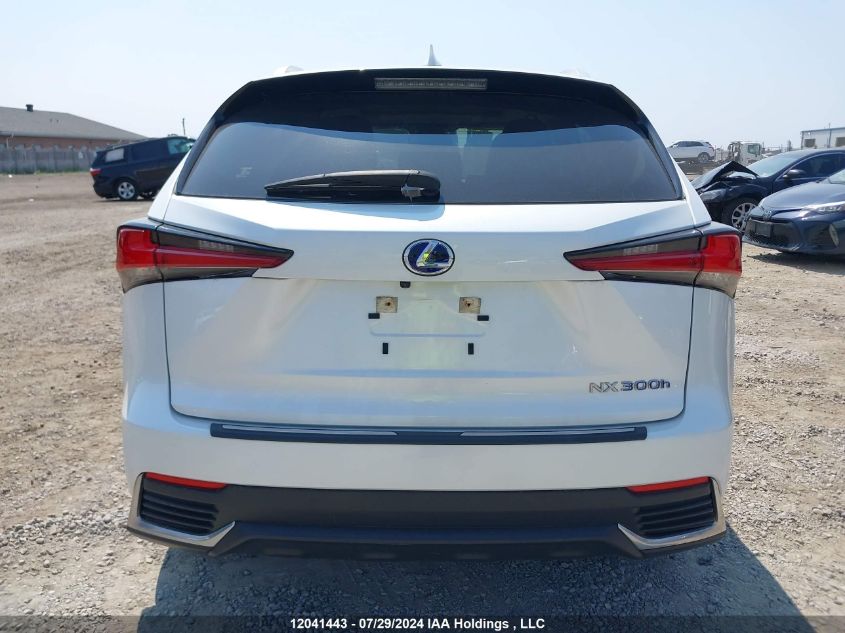 2021 Lexus Nx 300H VIN: JTJGJRDZ3M5010441 Lot: 12041443