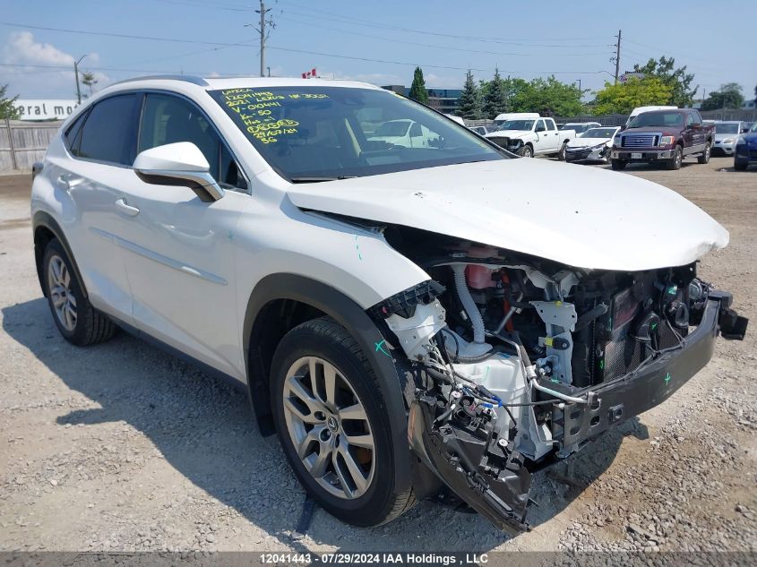 2021 Lexus Nx 300H VIN: JTJGJRDZ3M5010441 Lot: 12041443