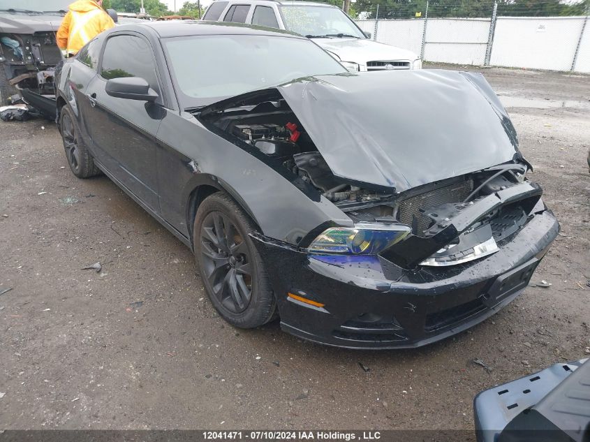 2014 Ford Mustang V6 VIN: 1ZVBP8AM5E5238700 Lot: 12041471