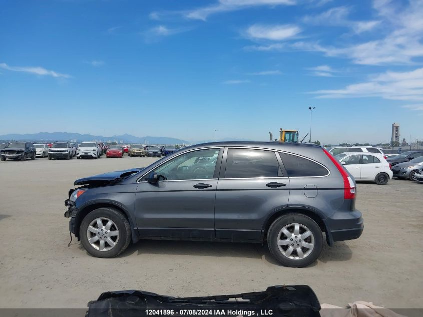 2010 Honda Cr-V Lx VIN: 5J6RE4H31AL814652 Lot: 12041896