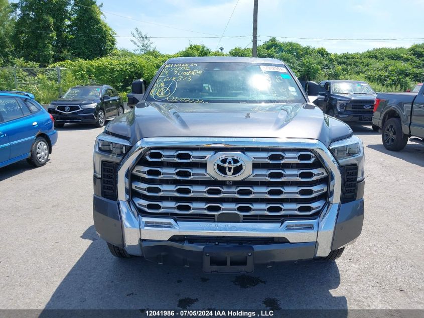 2023 Toyota Tundra Platinum VIN: 5TFMA5EC8PX014843 Lot: 12041986