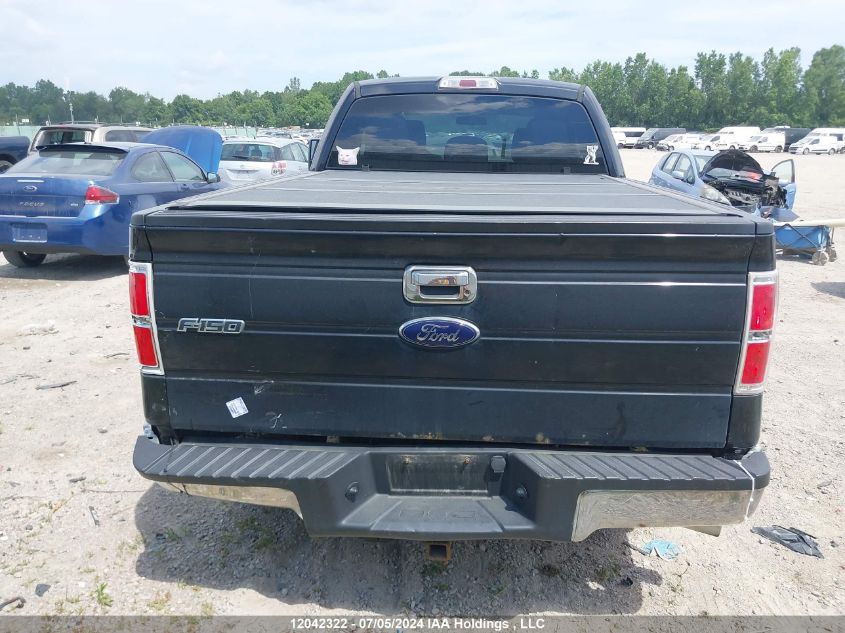 2012 Ford F-150 Xlt VIN: 1FTFX1EF0CFB97309 Lot: 12042322