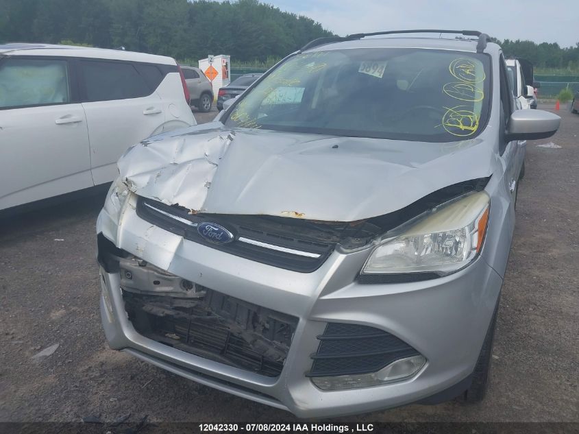 2014 Ford Escape VIN: 1FMCU0GX7EUA71809 Lot: 12042330