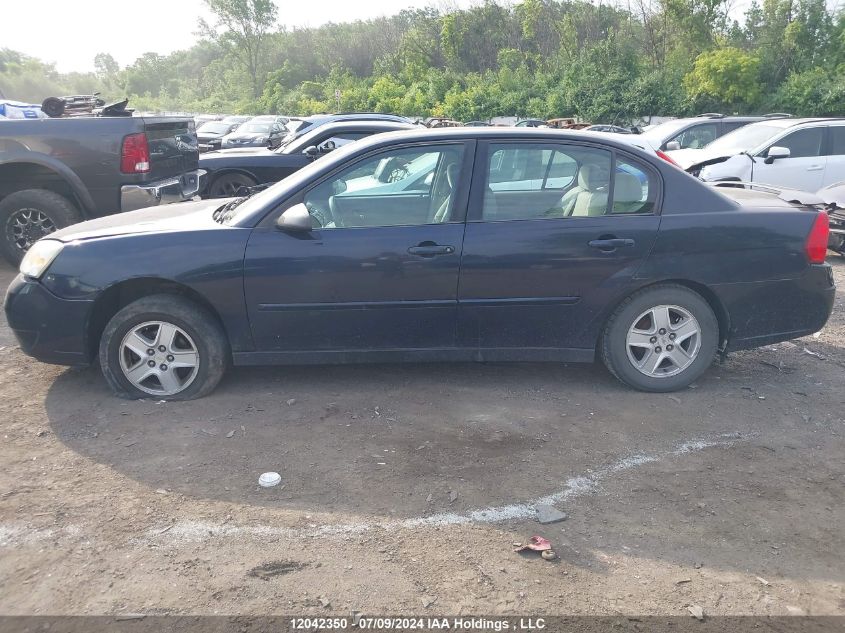 2006 Chevrolet Malibu VIN: 1G1ZS51F46F226445 Lot: 12042350