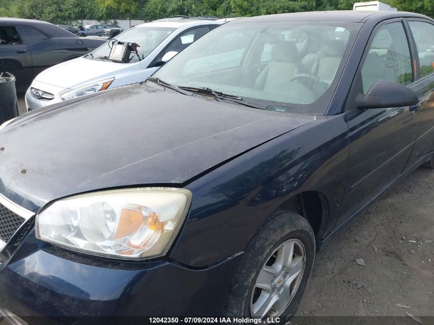 2006 Chevrolet Malibu VIN: 1G1ZS51F46F226445 Lot: 12042350
