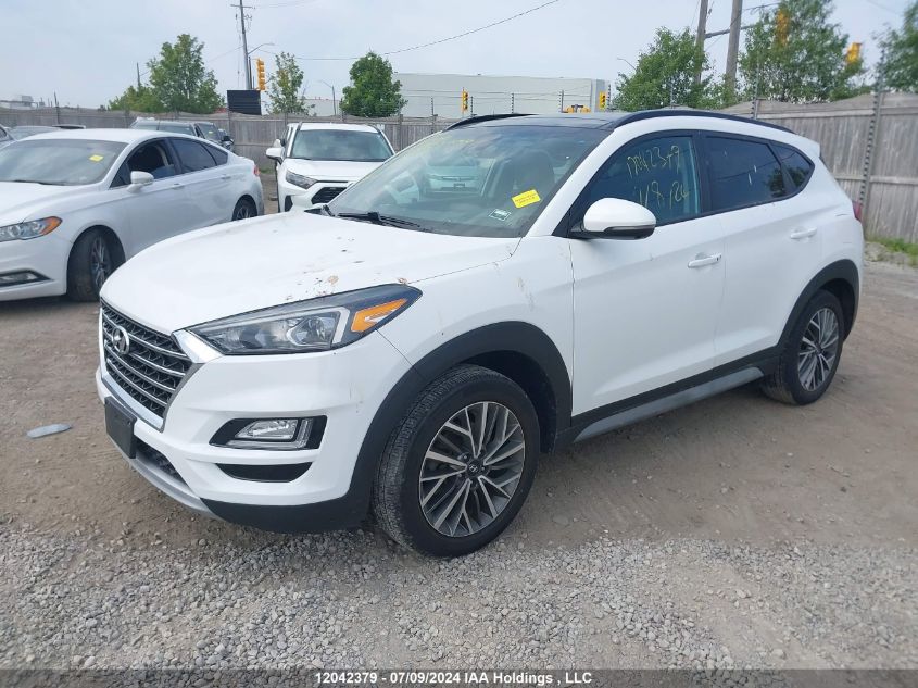 KM8J3CAL6KU953258 2019 Hyundai Tucson Luxury