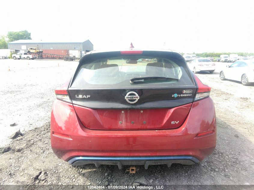 2019 Nissan Leaf VIN: 1N4AZ1CP1KC316989 Lot: 12042464
