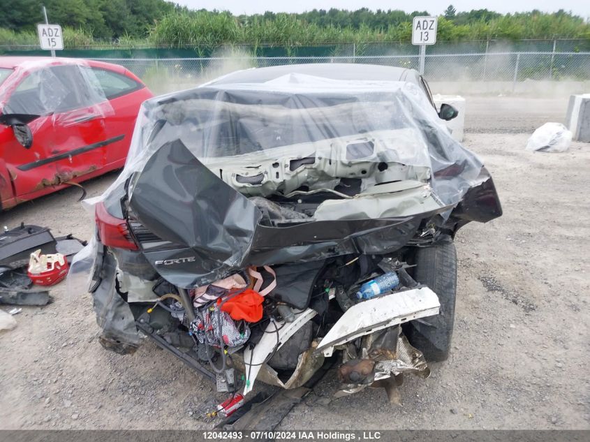 2019 Kia Forte VIN: 3KPF24AD7KE123205 Lot: 12042493