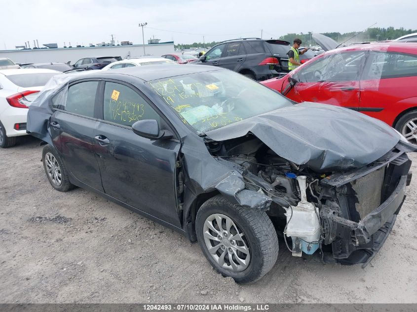 2019 Kia Forte VIN: 3KPF24AD7KE123205 Lot: 12042493