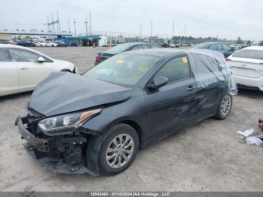 2019 Kia Forte VIN: 3KPF24AD7KE123205 Lot: 12042493