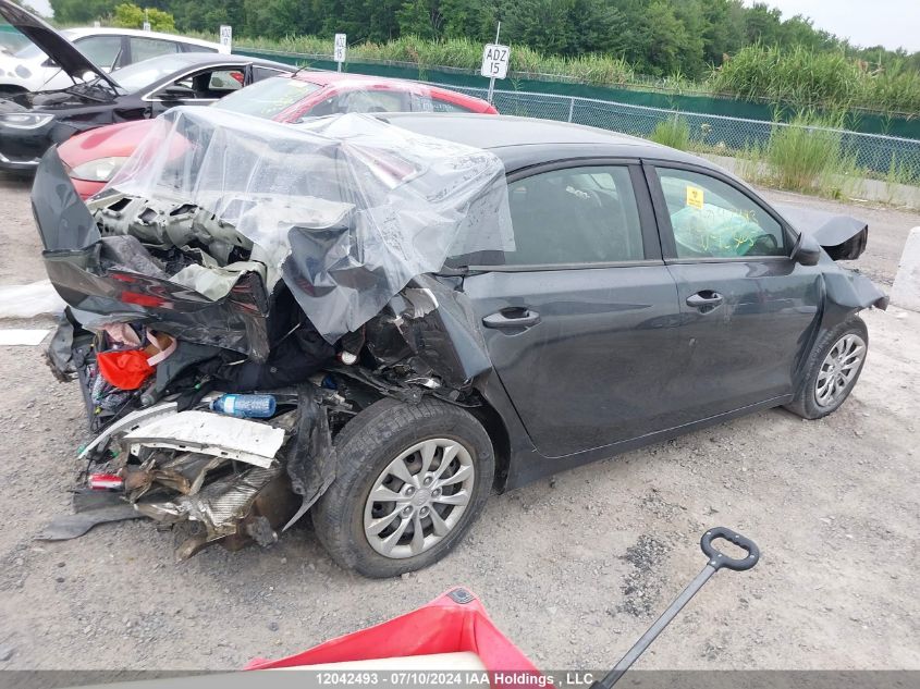 2019 Kia Forte VIN: 3KPF24AD7KE123205 Lot: 12042493