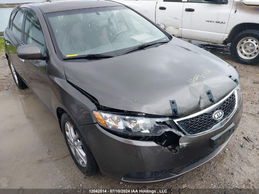 2012 Kia Forte VIN: KNAFU5A22C5492899 Lot: 12042514