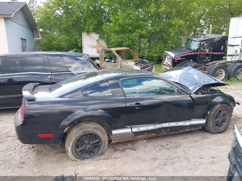 2006 Ford Mustang VIN: 1ZVFT80N665124679 Lot: 12042625