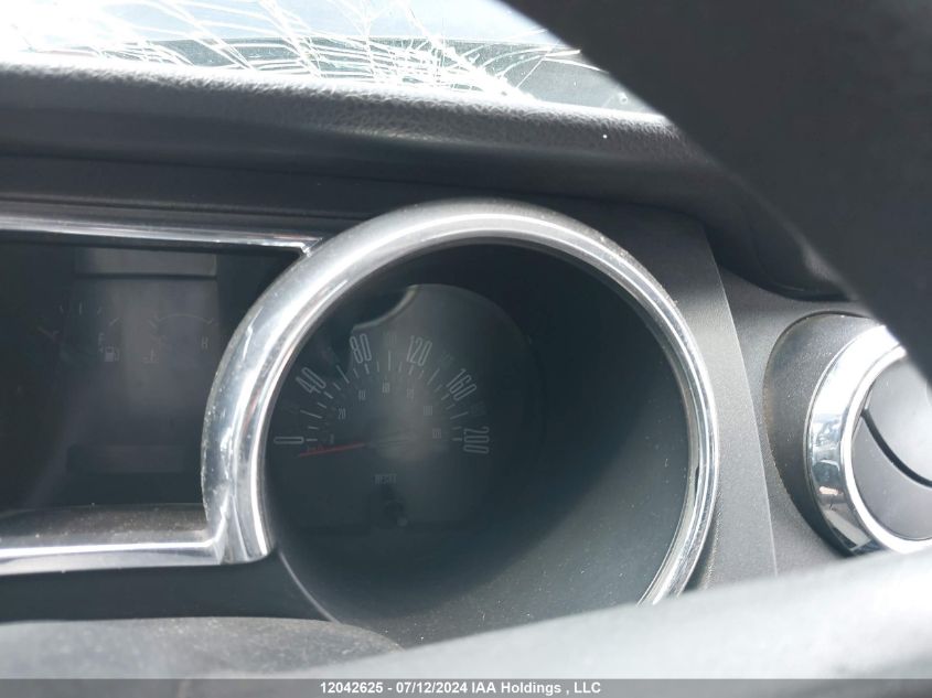 2006 Ford Mustang VIN: 1ZVFT80N665124679 Lot: 12042625