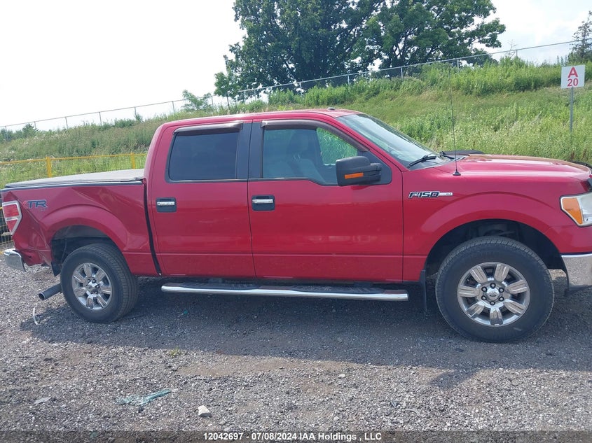 2011 Ford F-150 VIN: 1FTFW1EF3BKD15166 Lot: 12042697