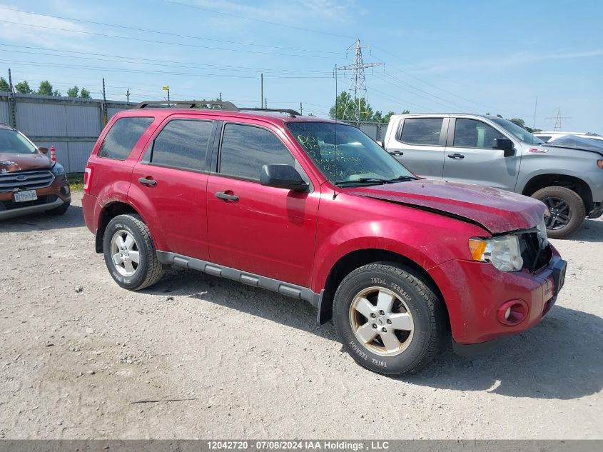 2012 Ford Escape Xlt VIN: 1FMCU9DGXCKC21560 Lot: 12042720