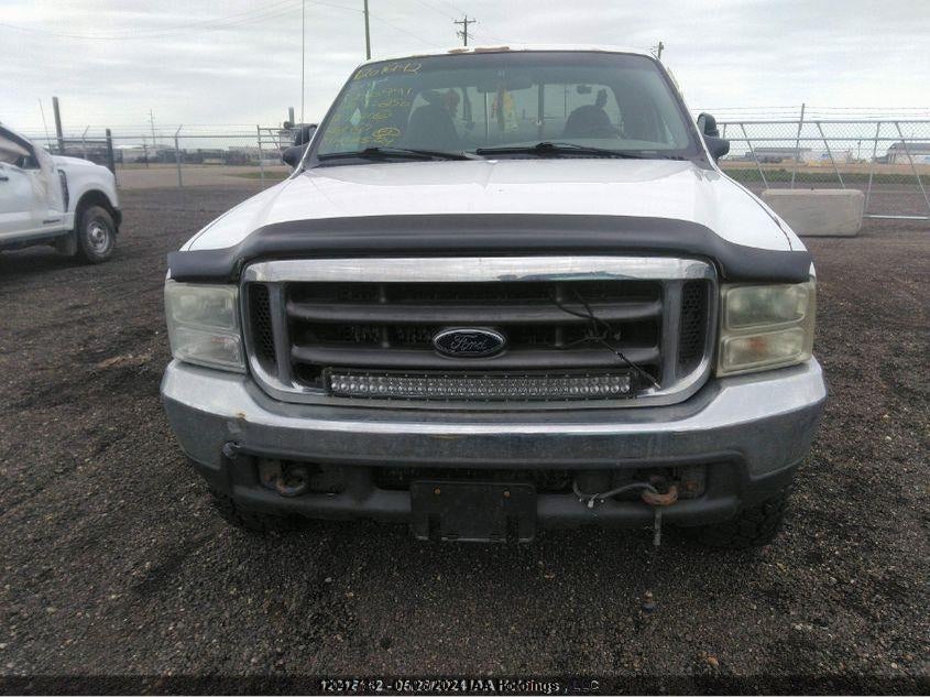 1999 Ford Super Duty F-250 VIN: 1FTNX21F0XED00991 Lot: 12042788