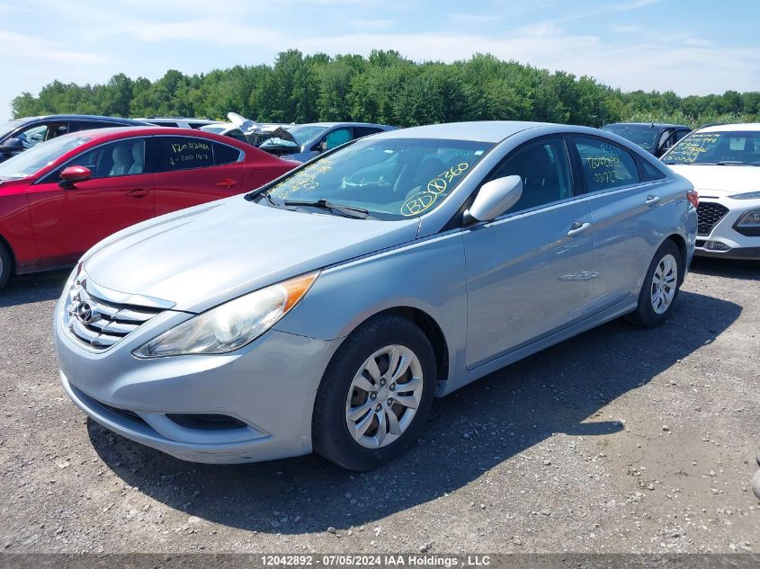 2011 Hyundai Sonata VIN: 5NPEB4AC6BH031727 Lot: 12042892