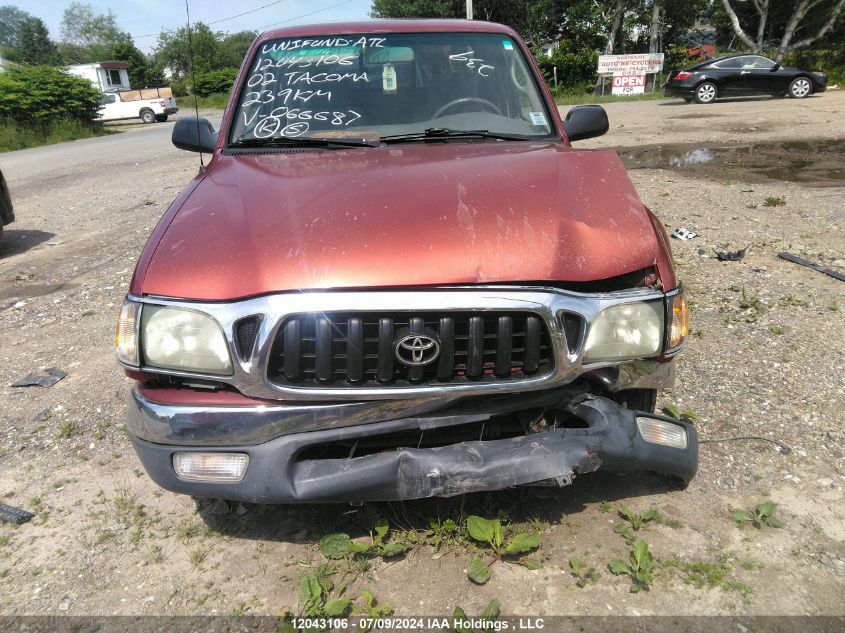 2002 Toyota Tacoma Xtracab VIN: 5TEVL52N82Z066687 Lot: 12043106
