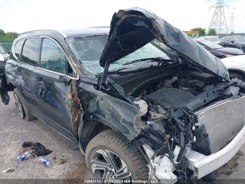 2022 Hyundai Santa Fe Sel VIN: 5NMS3DAJ3NH408532 Lot: 12043112