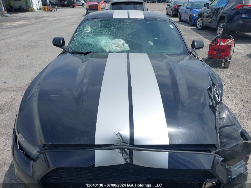 2017 Ford Mustang V6 VIN: 1FA6P8AM0H5229689 Lot: 12043138